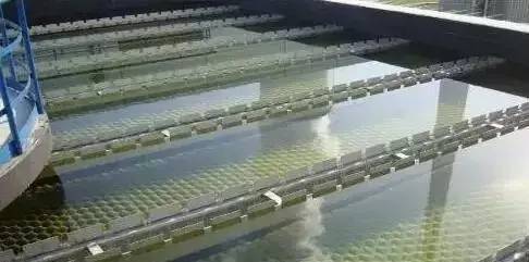 污水处置惩罚工艺知识.jpeg